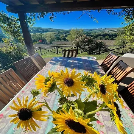 Todi By The Poolsleeps 10exclusive Poolwalk To Todi 5 Kmsrestaurant 05 Kms Villa *