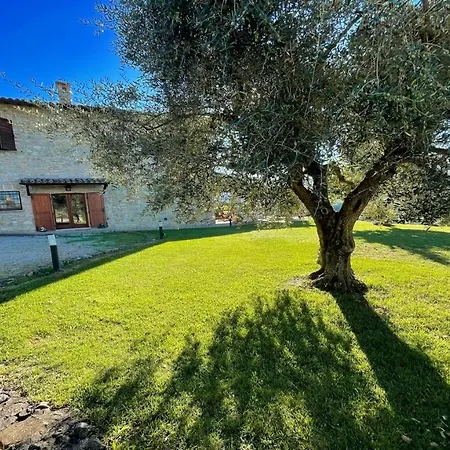 Villa Todi By The Poolsleeps 10exclusive Poolwalk To Todi 5 Kmsrestaurant 05 Kms *